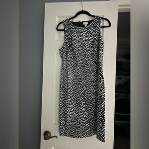 J Crew Factory Navy blue white polka dot Size 8. 100% cotton 👗 that feels new.